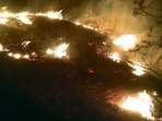 In the absence of moisture, Kashmir has been witnessing a string of forest fires. (File) In the absence of moisture, Kashmir has been witnessing a string of forest fires. (File)