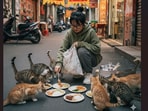 Battling social anxiety, a Chinese woman attended wedding banquets to save untouched food and feed 120 stray cats
