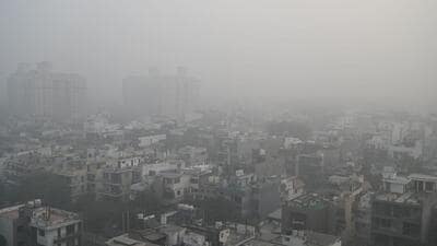 The project will also promote sustainable agricultural waste management to tackle stubble burning. (HT archive) The project will also promote sustainable agricultural waste management to tackle stubble burning. (HT archive)