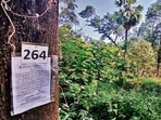 Over the last few weeks protestors have also alleged that a large part of the green cover has already been compromised. (REPRESENTATIVE PIC) Over the last few weeks protestors have also alleged that a large part of the green cover has already been compromised. (REPRESENTATIVE PIC)