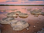 Stromatolites at Shark Bay, Australia. (Shutterstock)