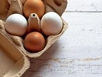 Dr Sehrawat advises caution as egg safety claims spark social media alarm. Dr Sehrawat advises caution as egg safety claims spark social media alarm.