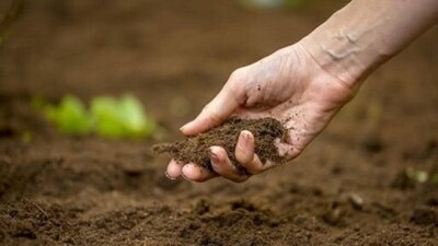 Indian Soil Indian Soil