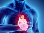 Dr Levine warns of a “crucial, potentially life‑threatening risk” when two common heart drugs are used together, a pairing that can lead to the dangerous BRASH syndrome. Dr Levine warns of a “crucial, potentially life‑threatening risk” when two common heart drugs are used together, a pairing that can lead to the dangerous BRASH syndrome.