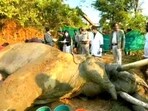 Four elephants have died in the past one year. (HT Photo)