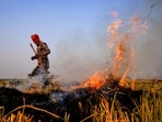 Smoke and flames rise as a farmer burns stubble in a paddy field in Amritsar district.(Shiva Sharma/PTI)