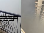 Delhi air turns dangerous as netizens post chilling fog visuals from buildings(Instagram/everycornerofworld/gptnlife)