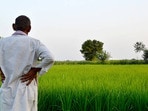 ప్రతీకాత్మక చిత్రం