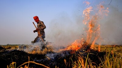 Smoke and flames rise as a farmer burns stubble in a paddy field in Amritsar district. (Shiva Sharma/PTI) Smoke and flames rise as a farmer burns stubble in a paddy field in Amritsar district. (Shiva Sharma/PTI)