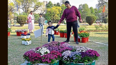 Visitors at the Rose Garden at Civil Lines in Ludhiana on Monday. (HT Photo) Visitors at the Rose Garden at Civil Lines in Ludhiana on Monday. (HT Photo)