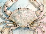 Cancer Horoscope Today: Read our expert astrological predictions to find out what the stars have in store for you.
