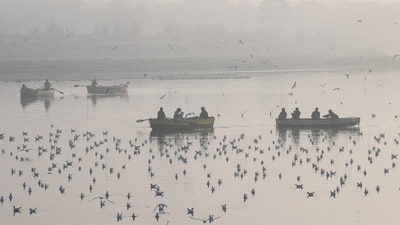 Seagulls fly over the bank of Yamuna River on a smoggy morning, in New Delhi on Tuesday. (ANI) Seagulls fly over the bank of Yamuna River on a smoggy morning, in New Delhi on Tuesday. (ANI)