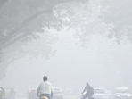 In fact, close to two-thirds (65%) of Delhi’s pollution originated out of the city, DSS data showed. (Vipin Kumar/Hindustan Times)