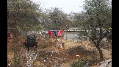 (Representative image) Violations were flagged in eco-sensitive zones and green belts along NHs and schedule roads after joint surveys with the forest and wildlife department. (HT Archive) (Representative image) Violations were flagged in eco-sensitive zones and green belts along NHs and schedule roads after joint surveys with the forest and wildlife department. (HT Archive)