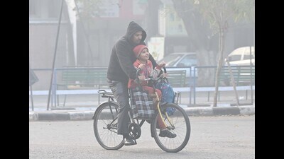 Due to the fog, the air quality index (AQI) in the city has also declined. (Keshav Singh/HT)