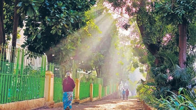 Pollution levels in the last 45 days have rarely been triggered by PM 2.5 levels. (Praful Gangurde/HT Photo) Pollution levels in the last 45 days have rarely been triggered by PM 2.5 levels. (Praful Gangurde/HT Photo)