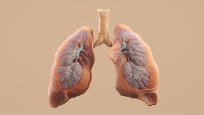 Researchers in United Kingdom discover breakthrough technique to monitor and detect lung cancer and its progress. (Unsplash) Researchers in United Kingdom discover breakthrough technique to monitor and detect lung cancer and its progress. (Unsplash)
