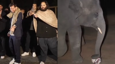 During his Jamnagar visit, Lionel Messi played football with an elephant at Vantara. (Instagram/ambani_update) During his Jamnagar visit, Lionel Messi played football with an elephant at Vantara. (Instagram/ambani_update)