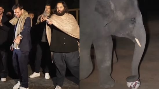 During his Jamnagar visit, Lionel Messi played football with an elephant at Vantara. (Instagram/ambani_update)
