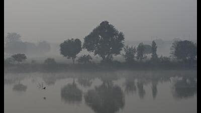 CAQM also reviewed waste burning in NCR (HT photo) CAQM also reviewed waste burning in NCR (HT photo)