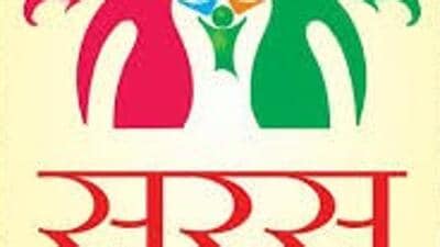 The mela features over 500 stalls run by women from all 38 districts of Bihar. (Saras Mela website) The mela features over 500 stalls run by women from all 38 districts of Bihar. (Saras Mela website)