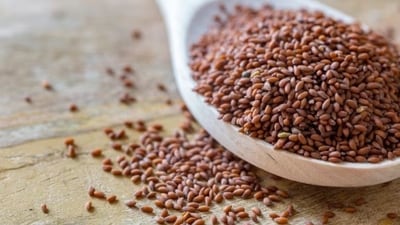 If taken correctly and consistently, haleem seeds help improve haemoglobin and overall vitality from within. (Freepik) If taken correctly and consistently, haleem seeds help improve haemoglobin and overall vitality from within. (Freepik)