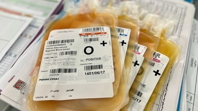 The children had tested positive after a blood transfusion at the Satna district hospital in Madhya Pradesh. (Representational/ Unsplash) The children had tested positive after a blood transfusion at the Satna district hospital in Madhya Pradesh. (Representational/ Unsplash)
