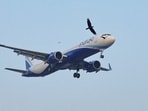 Birds fly past an Indigo flight as it prepares to land.