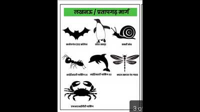 Different animal and bird shaped signages finalised for various routes. (Sourced) Different animal and bird shaped signages finalised for various routes. (Sourced)
