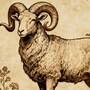 Aries Horoscope Today: Read our expert astrological predictions to find out what the stars have in store for you.
