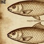 Pisces Horoscope Today: Read our expert astrological predictions to find out what the stars have in store for you.
