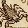 Scorpio Horoscope Today: Read our expert astrological predictions to find out what the stars have in store for you.
