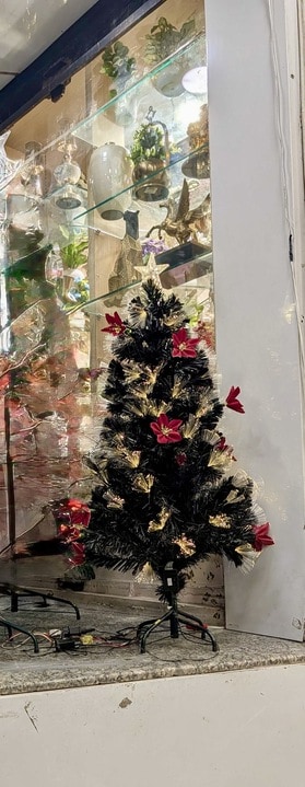 Height: 3ft; Price:  ₹1,000