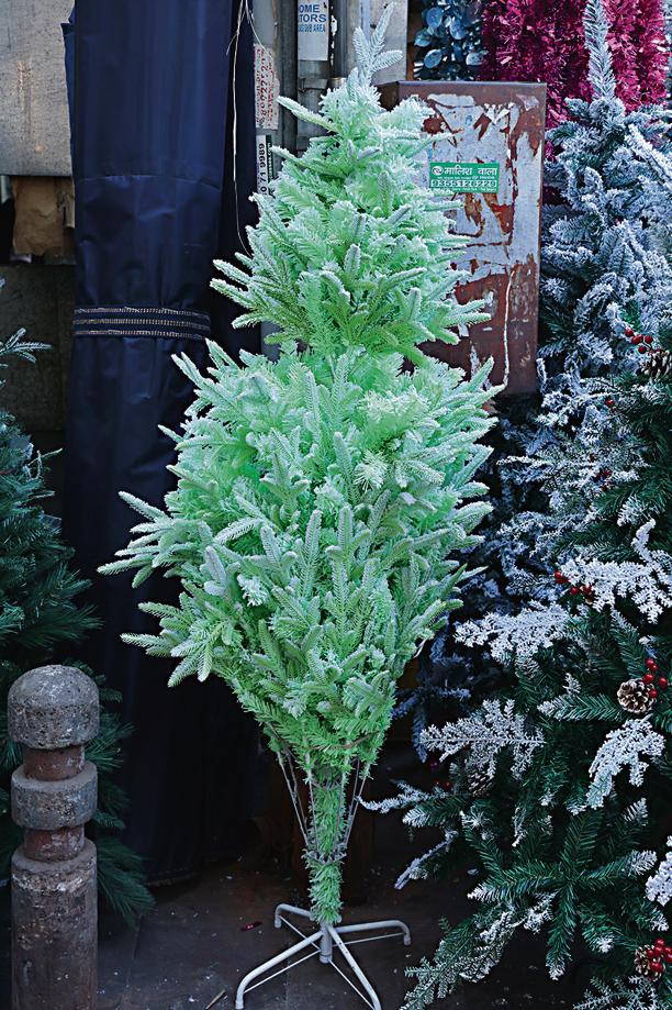 Height: 4ft; Price:  ₹3,500