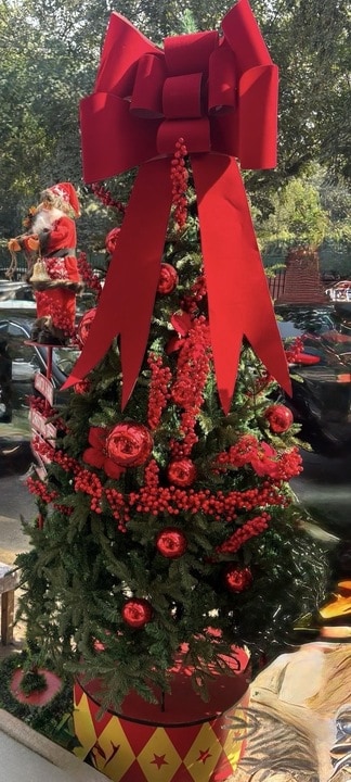 Height: 8ft; Price:  ₹9,000
