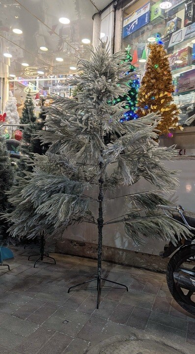 Height: 9ft; Price:  ₹9,500