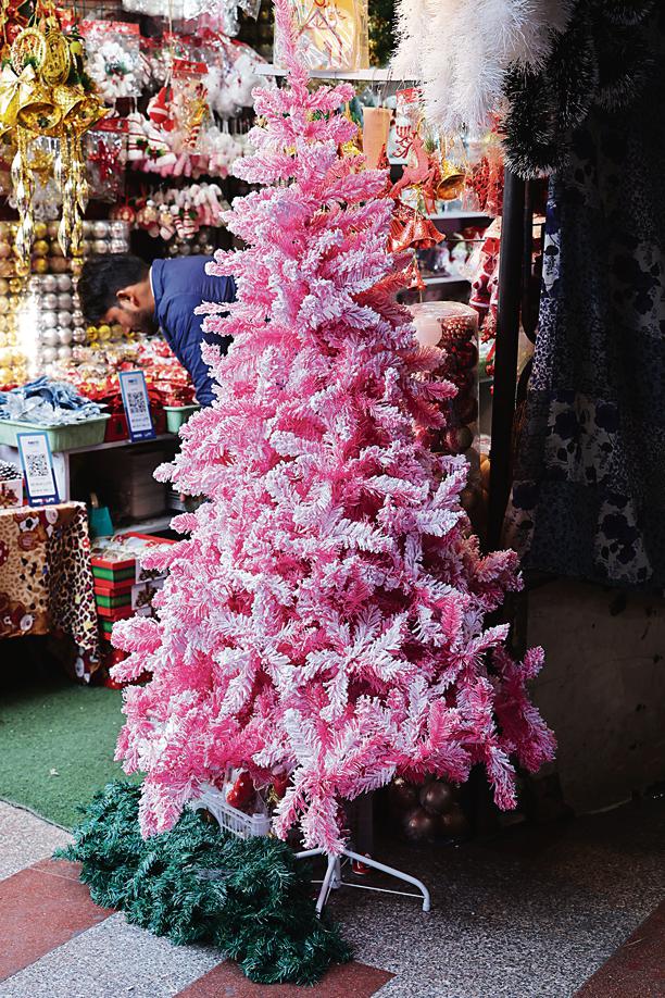 Height: 6ft; Price:  ₹7,500