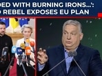 Hungarian Prime Minister Viktor Orban dramatically praised Belgian counterpart Alexander De Croo as a “hero”. Hungarian Prime Minister Viktor Orban dramatically praised Belgian counterpart Alexander De Croo as a “hero”.