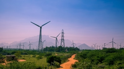 A green economy is about rewriting the rules of economic value creation. (Shutterstock) A green economy is about rewriting the rules of economic value creation. (Shutterstock)