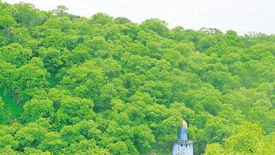 The Aravalli range has been defined as two or more hills within 500 metres of each other. (HT Archive) The Aravalli range has been defined as two or more hills within 500 metres of each other. (HT Archive)