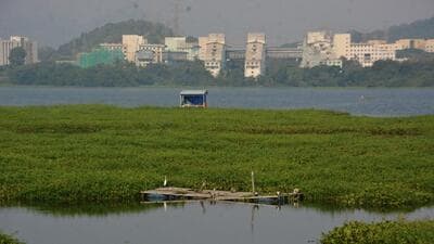 The Brihanmumbai Municipal Corporation (BMC) has appointed a consultant to conduct a fresh survey of Powai Lake and clearly demarcate its boundary, both on the ground and on official maps. ( Praful Gangurde / HT Photo)