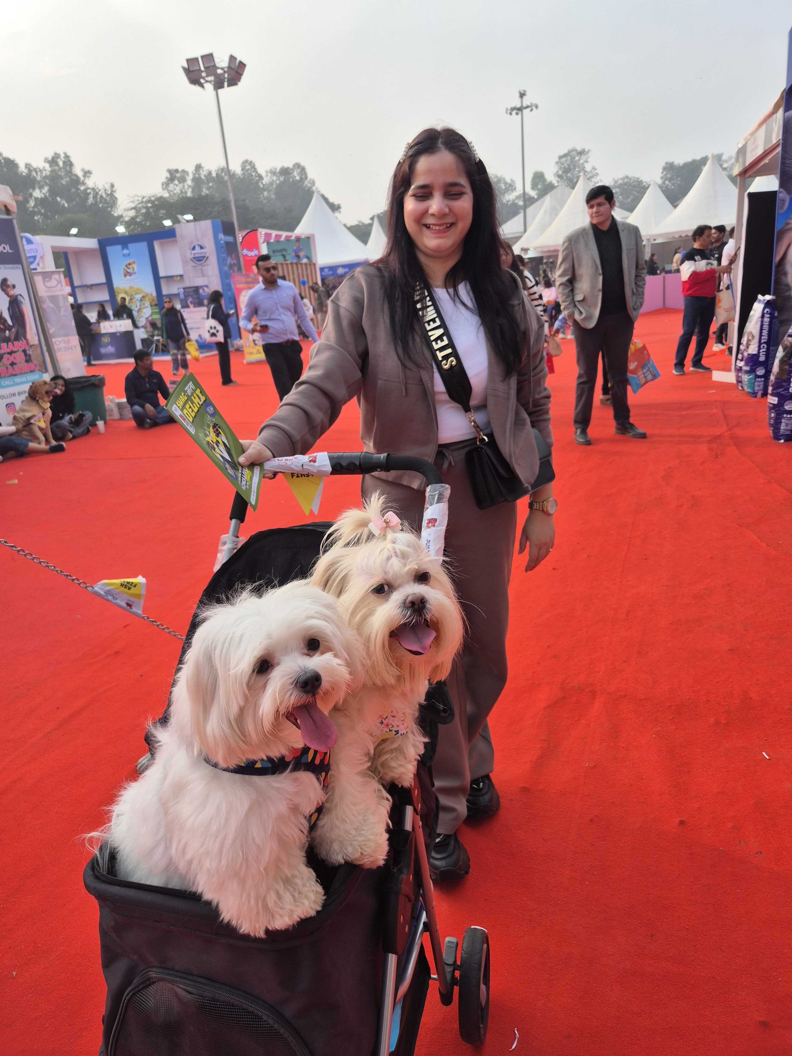 Sonam Dixit, a resident of East of Kailash, ensured that her furry babies Chloe and Bella don't get tired and hence opted for a cute pram for their visit to this fest. (Photo: Henna Rakheja/HT) Sonam Dixit, a resident of East of Kailash, ensured that her furry babies Chloe and Bella don't get tired and hence opted for a cute pram for their visit to this fest. (Photo: Henna Rakheja/HT)