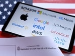 The U.S. flag, H-1B visa application form, and displayed company logos are visible..