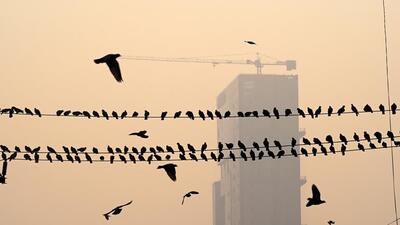 The Capital clocked a 24-hour average air quality index (AQI) of 373 at 4pm on Monday, marginally lower than 377 the previous day, but the 12th day this reading has been in the red zone or worse on the pollution scale. (Sunil Ghosh/HT) The Capital clocked a 24-hour average air quality index (AQI) of 373 at 4pm on Monday, marginally lower than 377 the previous day, but the 12th day this reading has been in the red zone or worse on the pollution scale. (Sunil Ghosh/HT)
