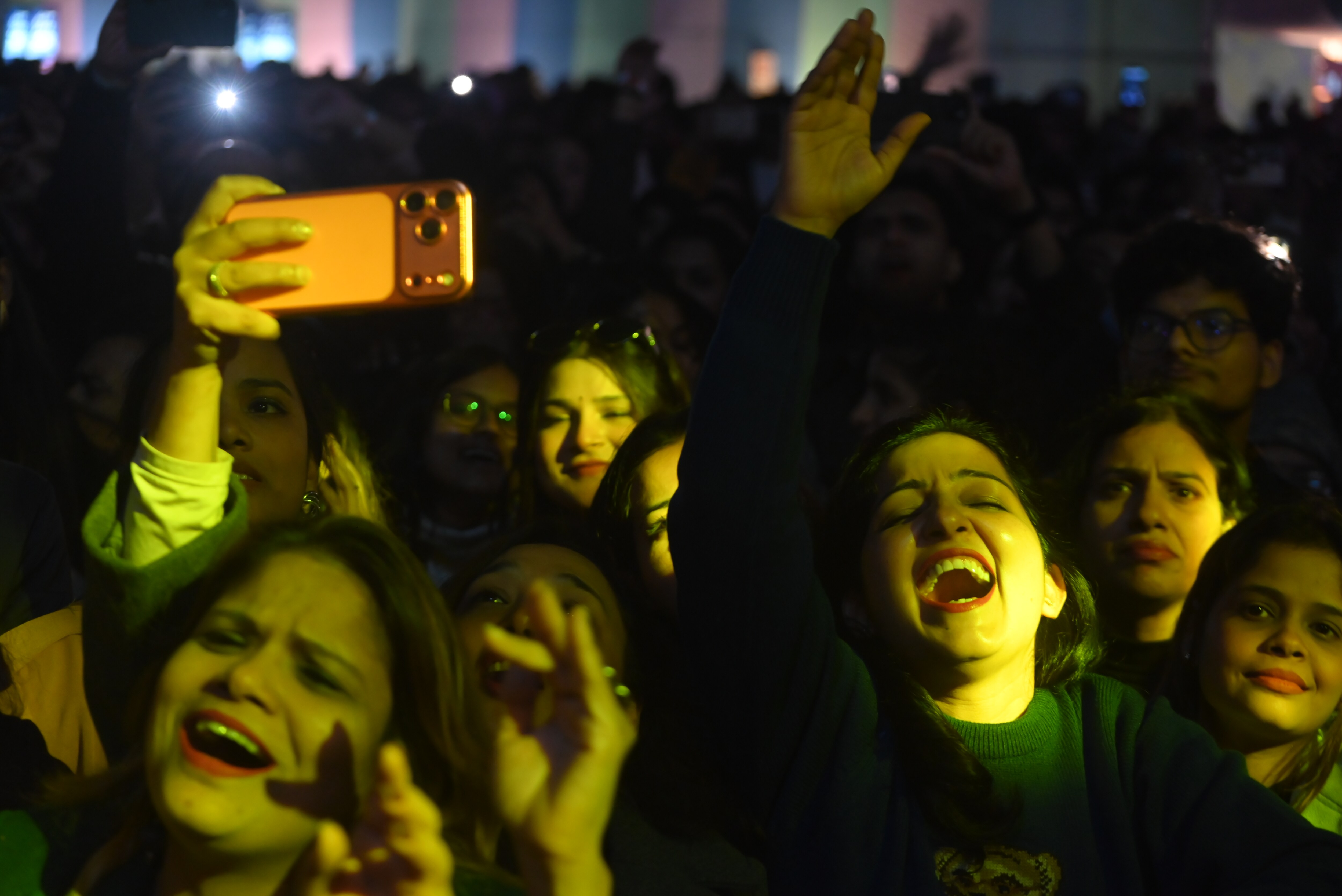 Crowd at the fest Crowd at the fest