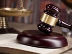 The petition asserted that the impugned policy applied exclusively to districts in the Shivalik-Kandi region — described as Punjab’s last contiguous forest-bearing landscape and its primary ecological shield. (Shutterstock)