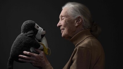 British ethologist and primatologist Jane Goodall, who will always be remembered the first time a wild chimpanzee took a banana from her outstretched hand, died at the age of 91 on October 1, 2025. (AFP) British ethologist and primatologist Jane Goodall, who will always be remembered the first time a wild chimpanzee took a banana from her outstretched hand, died at the age of 91 on October 1, 2025. (AFP)