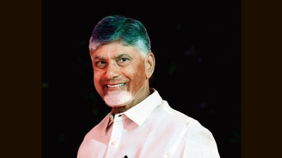 N Chandrababu Naidu N Chandrababu Naidu