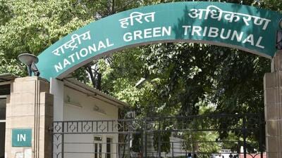 NGT was hearing a plea on the preservation of water bodies in Delhi. (Hindustan Times) NGT was hearing a plea on the preservation of water bodies in Delhi. (Hindustan Times)