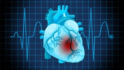 Protecting heart health: Check out key insights from top cardiologists in India. (Freepik) Protecting heart health: Check out key insights from top cardiologists in India. (Freepik)